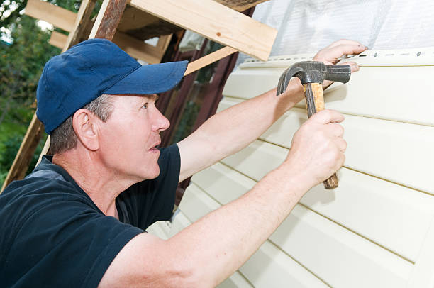 Affordable Siding Repair and Maintenance Services in St Ansgar, IA