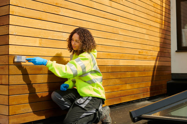 Best Fascia and Soffit Installation  in St Ansgar, IA