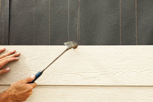 Best Siding for Commercial Buildings  in St Ansgar, IA