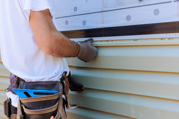 Best Steel Siding Installation  in St Ansgar, IA